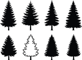 Set of pine tree silhouettes in various shapes isolated on white background, evergreen forest conifer design for nature, decoration, landscape.