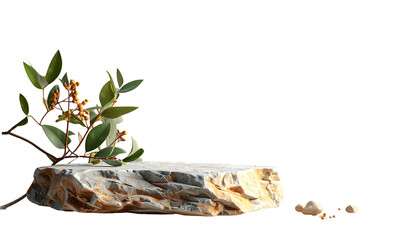 Stone podium with leaves and berries, showcasing natural elements