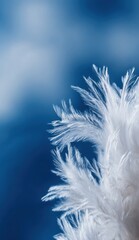 Soft white feathers against a bright blue sky with blurred clouds creating an artistic scene