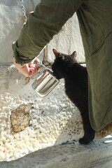 Fototapety na wymiar - Fototapeta24.pl