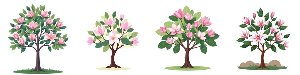 Beautiful Set of Blooming Magnolia Trees in Various Stages of Growth