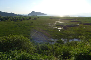 mountain landscape and marshy meadows in the morning around skadar lake in montenegro