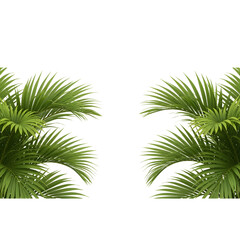 Fototapeta premium Palm leaves frame tropical green foliage vector illustration isolated on white background for summer design elements