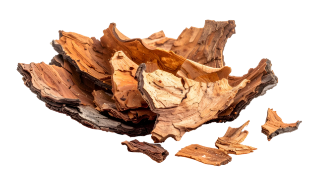 Close-up of weathered, textured wooden planks - Powered by Adobe