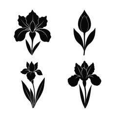 Iris flower icons collection for floral and botanical design
