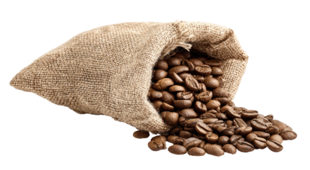 Coffee beans spilling from a burlap sack (1)