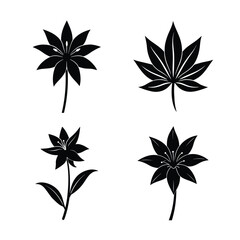 Lily flower icons collection for floral and botanical design