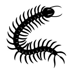 Silhouette of a Centipede with Many Legs Crawling Horizontally on White