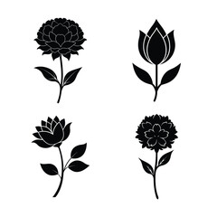 Peony flower icons collection for floral and botanical designs