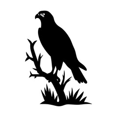 Obraz premium Silhouette of majestic hawk perched on branch, strong and bold avian design