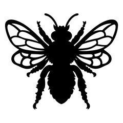 Detailed Silhouette of a Honeybee with Wings Spread on White Background