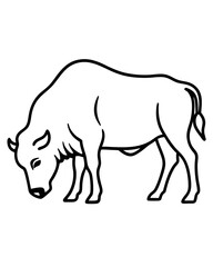 Fototapeta premium vector illustration of a rhinoceros