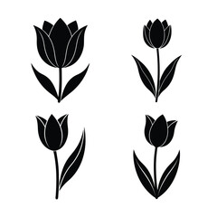 Tulip Flower Icons Collection for Spring Garden and Decoration