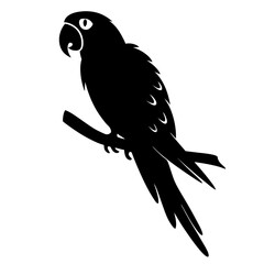 Black silhouette illustration of a perched parrot on a branch vector image