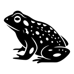 Detailed black and white illustration of a frog with spotted pattern