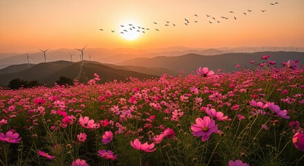 Vast Pink Flower Field At Sunset With Wind Turbines