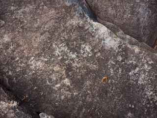Stone texture in the forest, vintage style image