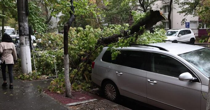 A broken tree fell on a parked car during a storm with high winds in Bucharest, Romania.
