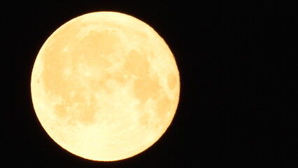 Moon, full, night A bright, orange-yellow full moon glows vibrantly in the dark night sky with copy space