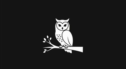 owl on a branch