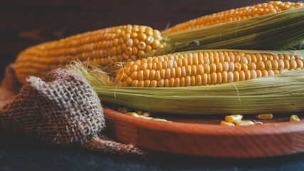 Fresh corn on the cob ready to be enjoyed.