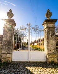 Ornate entrance gate