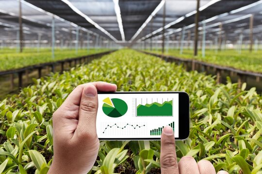 Hands holding a smartphone showing green graphs and charts in a large greenhouse with plants