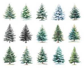 Obraz premium Watercolor evergreen trees collection.