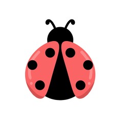 Ladybug icon flat design. Ladybug illustration logo. Beetle cartoon design