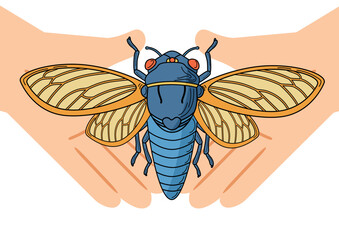 Human hands gently are holding a blue singer cicada. A symbol of longevity and rebirth in China, Japan, Greece and other countries. For environmental protection projects, education.