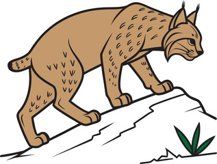 Bobcat Walking on Rock Vector Illustration Wild Animal Isolated Design.