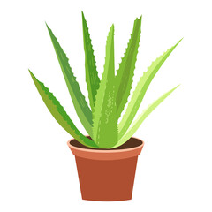 Aloe Vera Potted Succulent Plant Illustration