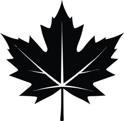 Maple Leaf Silhouette Flat Icon Vector Illustration, Black Maple Leaf Silhouette Flat Design.