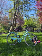 Blue vintage-style bicycle in a green park on a sunny spring day