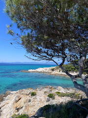 Rocky coastline with turquoise water and tree shade in Greece