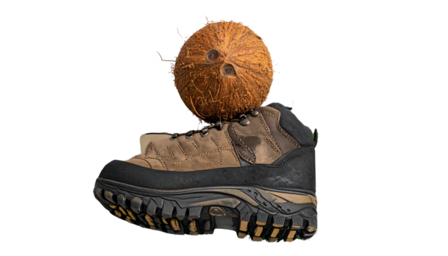 Top-Down Perspective of Coconut On Hiking Boot Lace With Tie Leaves and Sole, Transparent Background.