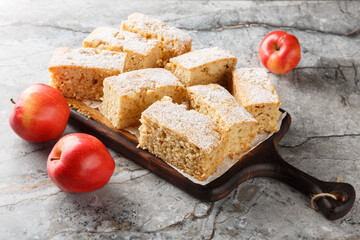 Applesauce cake with warm spices like cloves, ginger, and cinnamon close-up on a wooden board on a table. Horizontal