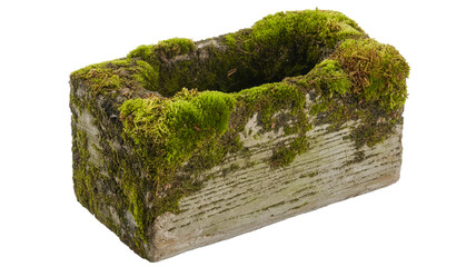 A close-up photograph of a rectangular concrete block planter filled with vibrant green moss.
