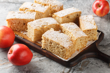Autumn American Applesauce cake dusted with powdered sugar close-up on a wooden board on the table. Horizontal