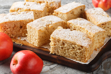 Delicious old fashioned applesauce cake with ginger and cinnamon close-up on wooden board on a table. Horizontal