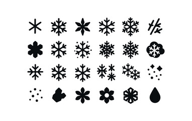 Fototapeta premium vector solid black filled icons Snowflakes (Types) simple, flake, crystal, star, hexagon, dendrite, needle, plate, frosted, glitter, icy, flake.