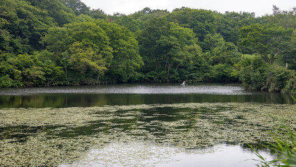 信州斑尾高原の夏　赤池のある風景　飯山市　長野県