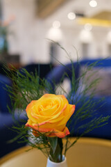 Close up of a yellow rose with green stems in a small white vase The background features a blurred blue couch and soft lights creating a calm atmosphere