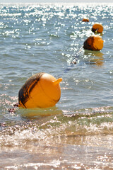 Naklejka premium Buoys receding into the distance. Row of yellow buoys leading away from the shore, creating a rhythmic path across the water surface.