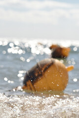 Close buoy in shallow surf. Tight frame of a yellow buoy in shallow breaking waves with sparkling water highlights. Strong seaside macro.