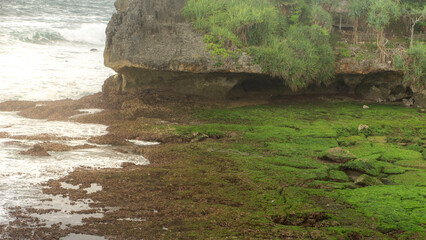beach view with rocks