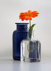 Still life with a calendula flower, also known as marigold, and two small stained glass vases.