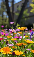 Obraz premium Vibrant wildflowers bloom in a sun-drenched spring meadow, colorful blossoms swaying gently in the breeze, creating a breathtaking natural scene, beauty, sunshine, bloom