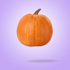 Whole ripe pumpkin in air against violet background