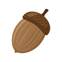 Acorn in cartoon style. Color vector illustration. Isolated on white background.	